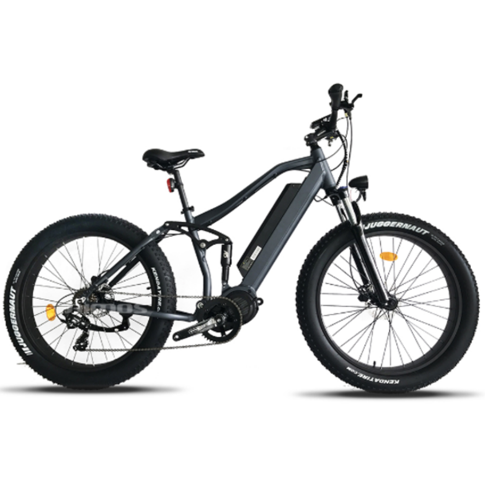 Electric Bike